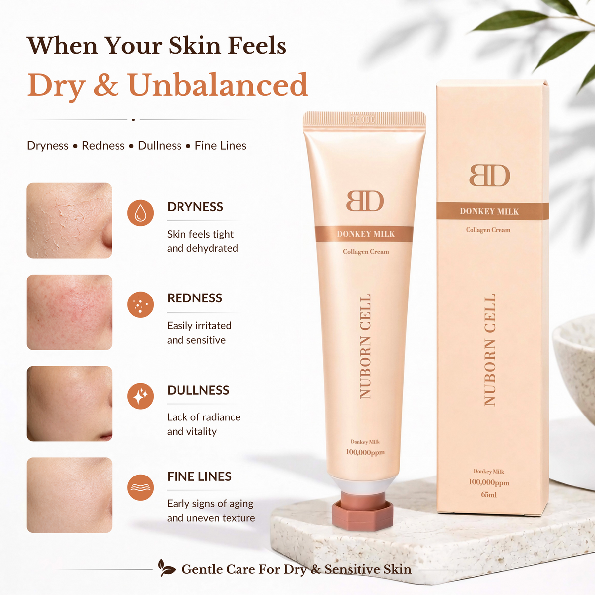Nuborn Cell Donkey Milk Collagen Cream