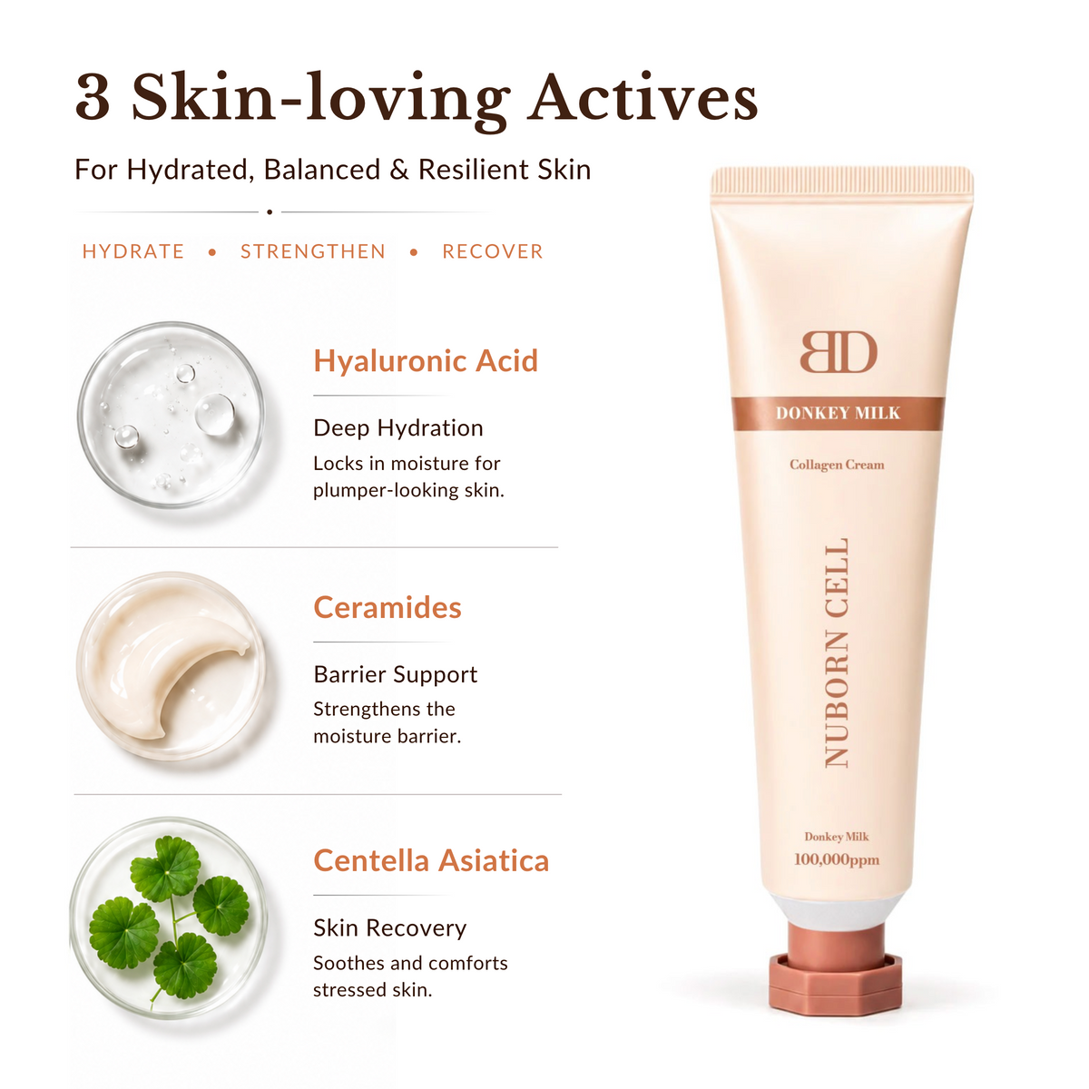 Nuborn Cell Donkey Milk Collagen Cream